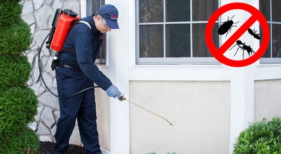 Muratlı Hamam Böceği İlaçlama böcek ilaçlama ve haşere kontrolü — ilaclama-tr.com